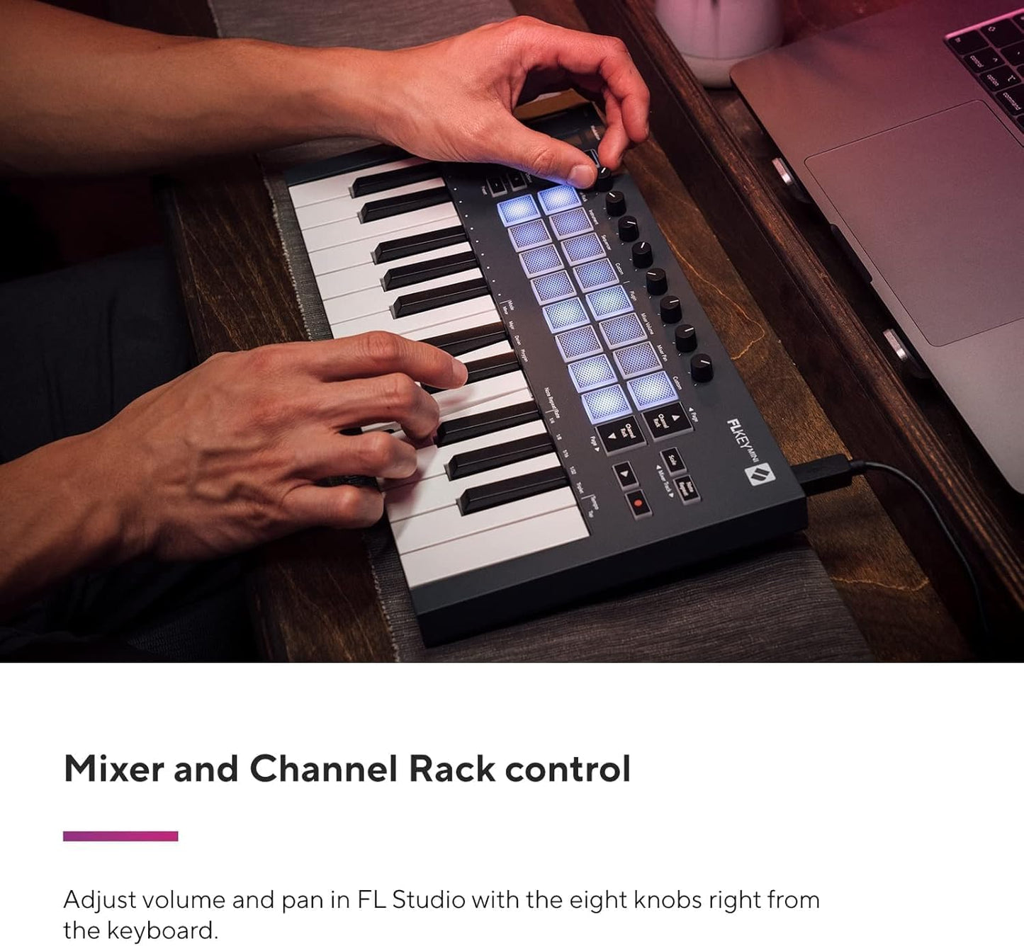 Novation AMS-FLKEY-MINI FLkey Mini: 25-Key MIDI Keyboard for FL Studio