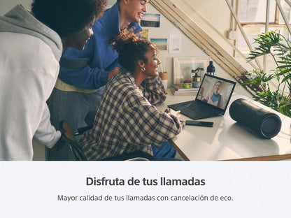 Sony CRT2SNSRSXG300BRB X-Series Portable Bluetooth Speaker (Renewed)