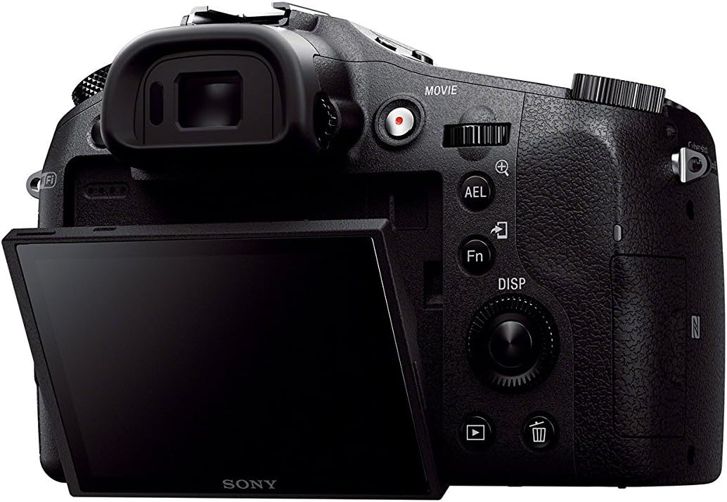 Sony DSCRX10/B Cybershot 20.2MP Digital Camera
