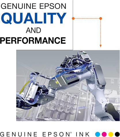 Epson T200120-S DURABrite Black Ink Cartridge Standard Capacity