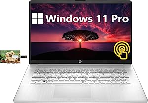 HP HP 17" i7 11th Gen Touchscreen Business Laptop
