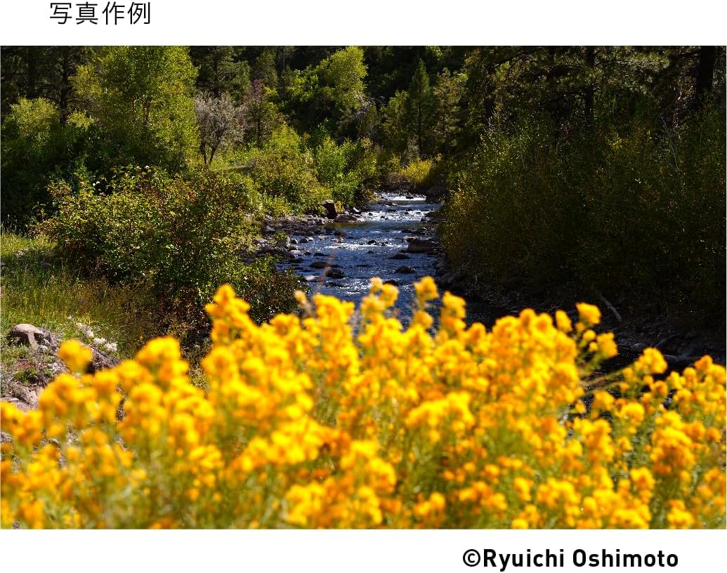 Sigma 592965 28-70mm F2.8 DG DN Sony E-Mount Lens