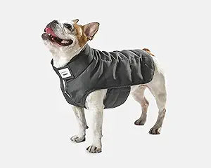 Gravity Weighted Dog Vest Large 3lbs Anxiety Relief — main product image