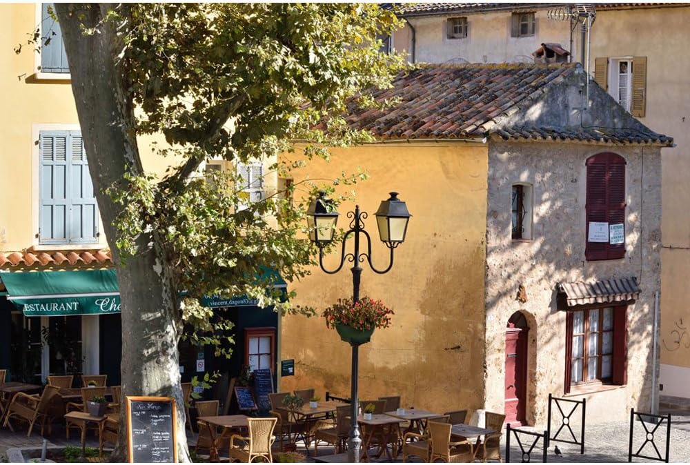 Nikon FBA_K-91112-00-CR 55-200mm VR Zoom Lens Renewed