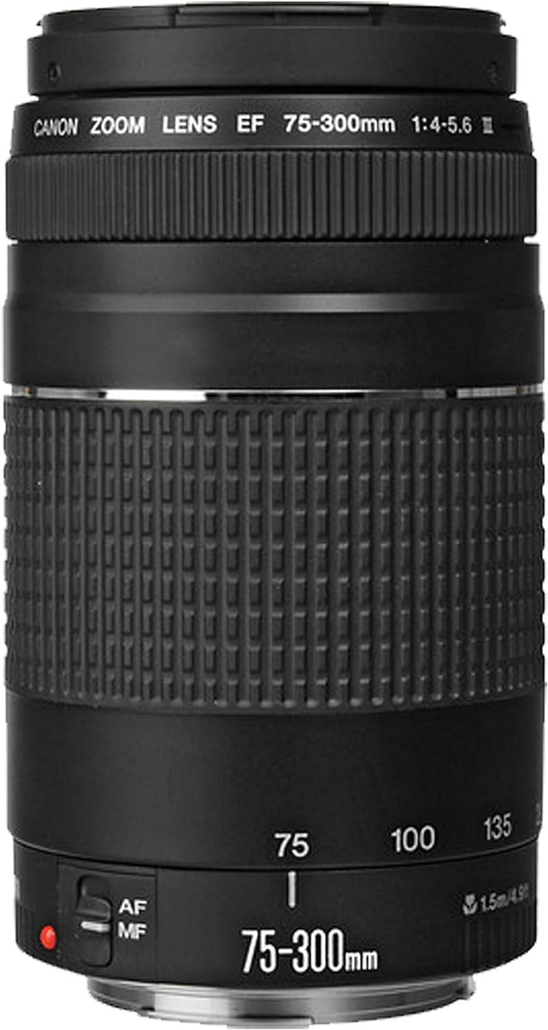 Canon R6 Mark II Bundle 24-50mm Lens Renewed