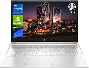 HP TPN-Q245 Pavilion i7 MX550 Touchscreen Laptop