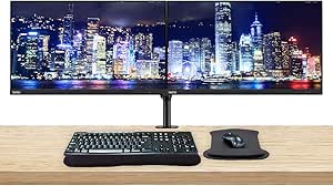 Lenovo ASIHLAMZ636 23.8" FHD Monitor 2-Pack Bundle