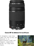 Canon EOS 2000D Rebel T7 DSLR Camera Bundle (Renewed)