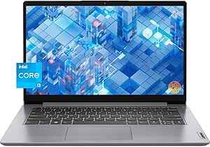 Lenovo IdeaPad 1 14" Intel Laptop with 12GB RAM