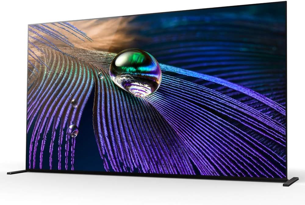 Sony E94SNXR65A90J 65" OLED 4K HDR Smart TV Bundle with Protection