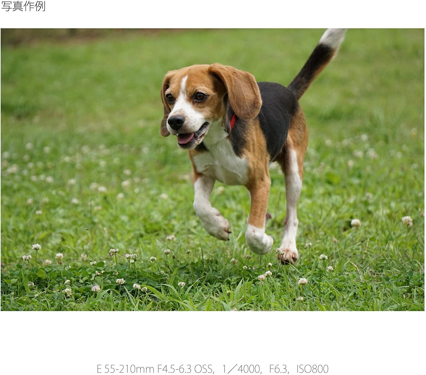 Sony SEL55210-cr 55-210mm E-Mount Lens Renewed