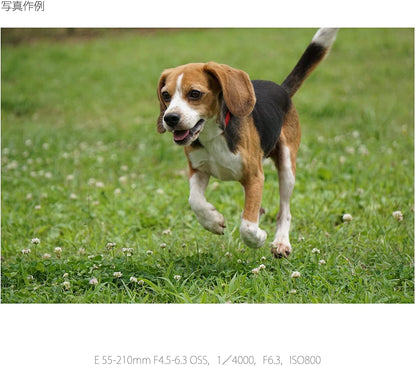 Sony SEL55210-cr 55-210mm E-Mount Lens Renewed