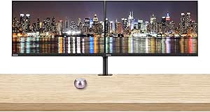 Lenovo S24e-20 ThinkVision 24" Monitor 2-Pack Bundle