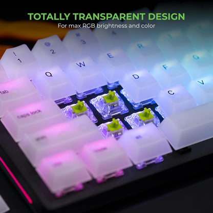 Glorious GLO-SWT-RAPTOR-LUBED Clicky Mechanical Keyboard Switches