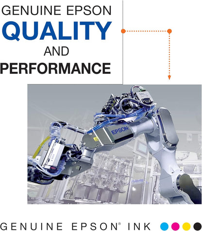 Epson 60 DURABrite Black Ink Cartridge Dual Pack