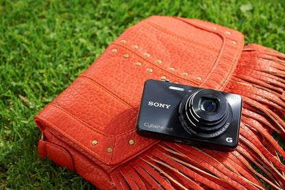Sony DSCWX220/B Cyber-shot 18.2 MP Digital Camera