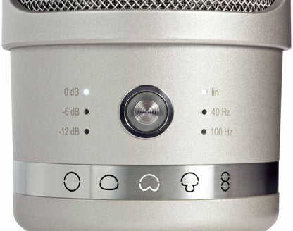 Neumann TLM 107 Large-Diaphragm Condenser Microphone - Nickel