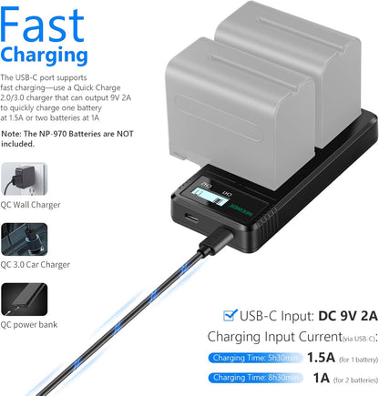 Neewer 10100251 Dual USB Charger for Sony NP-F Batteries