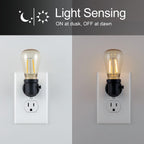 GE 38628 Vintage Edison LED Dusk-to-Dawn Night Light
