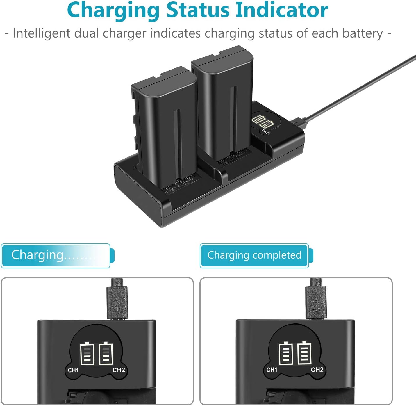 Neewer 10095059 NP-F550 Battery Charger Set