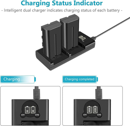 Neewer 10095059 NP-F550 Battery Charger Set