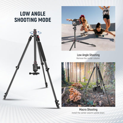 Neewer TP77 77" Camera Tripod Monopod Ball Head