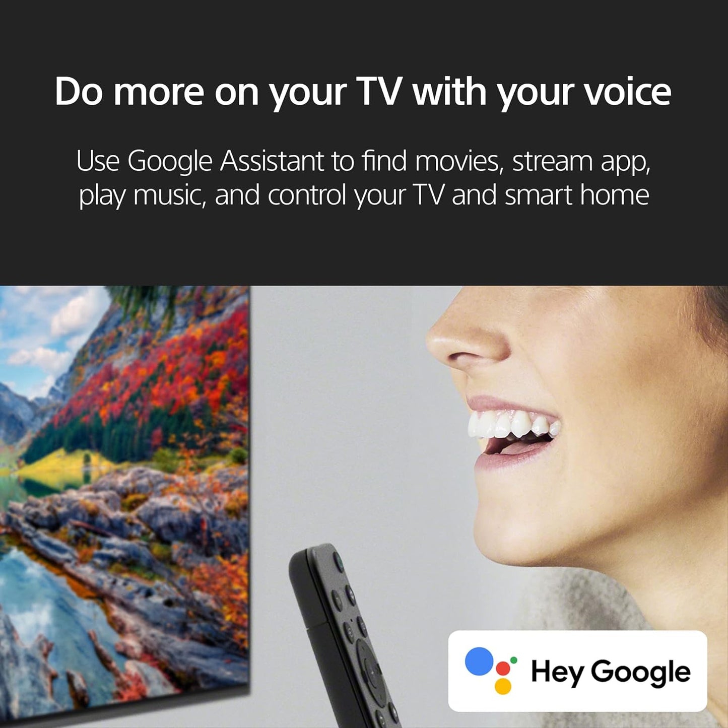 Sony KD65X77L 65-Inch 4K Google Smart TV