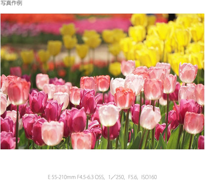 Sony SEL55210-cr 55-210mm E-Mount Lens Renewed