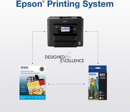 Epson T822XL-BCS Ink Combo Pack - High Capacity DURABrite Ultra