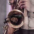 Shure BETA98H/C Clip-On Instrument Microphone