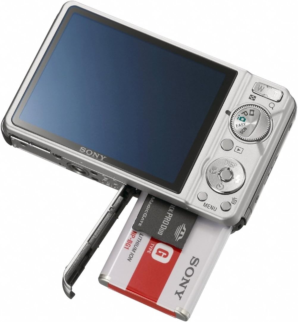 Sony DSC-W290 Cyber-shot 12.1 MP Digital Camera