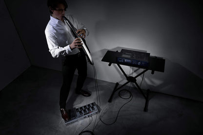 Roland AE-30 Aerophone Pro Digital Wind Instrument