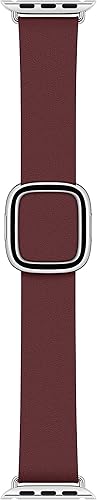 Apple Watch Band 40mm Modern Buckle Garnet Small — main product image