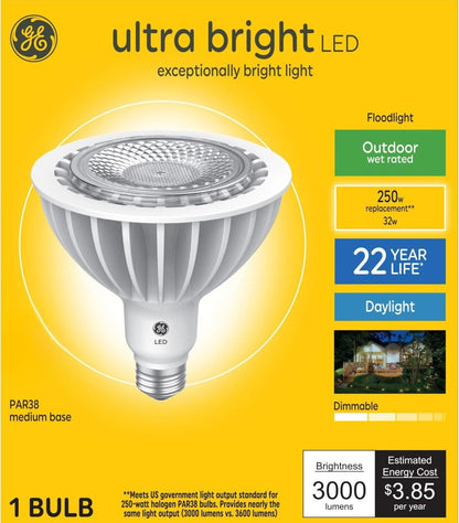 GE 93122343 250W PAR38 LED Daylight Floodlight
