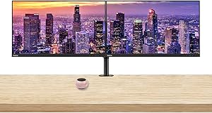 Lenovo S24e-20 FHD Monitor 2-Pack with Mount