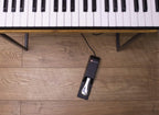 Alesis HDH40 Recital 61-Key Piano Keyboard Pedal Bundle