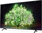 LG E6LGOLED55A1PUA 55