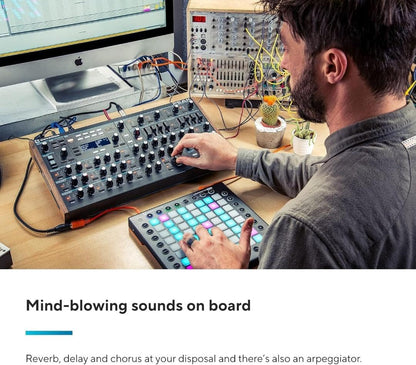 Novation Peak 8-Voice Polyphonic Desktop Synthesizer - LFO & Effects