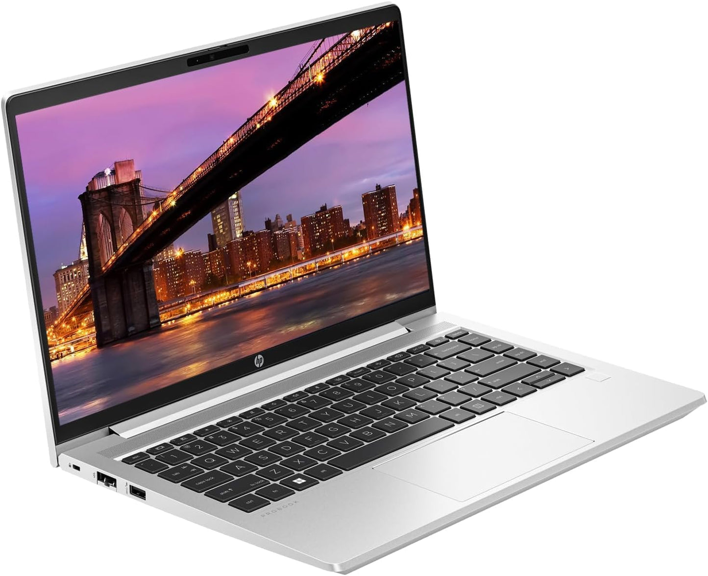 HP 445 G10 ProBook Bundle: 2x 24" Monitor, Dock, Keyboard, Mouse