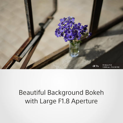 Sony SEL50F18F FE 50mm F1.8 Standard Prime Lens