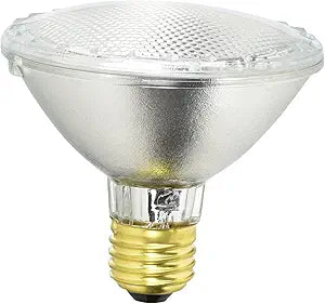 GE Lighting 69166 38W Par30 Halogen Flood Bulb — main product image