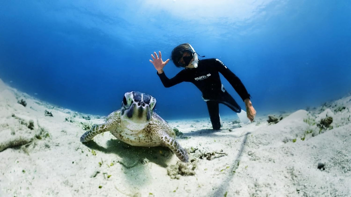 Insta360 X3 Invisible 50M Waterproof Dive Case