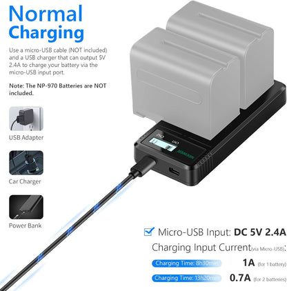 Neewer 10100251 Dual USB Charger for Sony NP-F Batteries