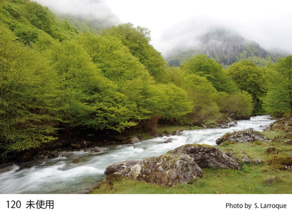 Cokin WA1T120 A120 Grey Graduated Filter