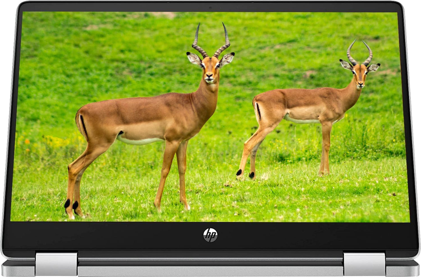 HP 14" Chromebook: HD Touchscreen, 4GB, 64GB SSD (Renewed)