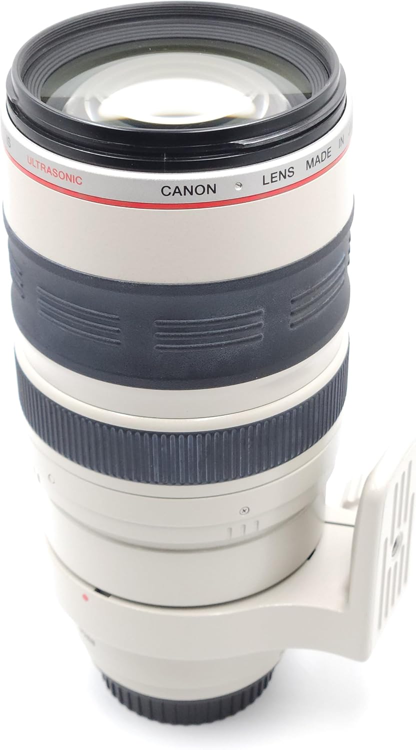 Canon 2577A002 EF 100-400mm f/4.5-5.6L IS USM Telephoto Zoom Lens