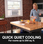 Haier QHEE06AC 6000 BTU Window Air Conditioner - Small Room Cooling