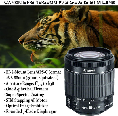 Canon EOS 80D DSLR Camera Bundle with Lenses & Accessories (Renewed)