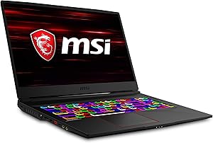 MSI GE75 Raider 10SGS-222 300Hz RTX 2080 Gaming Laptop