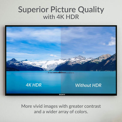 Sharp 4T-C55FS1UR 55" AQUOS OLED 4K Roku TV